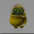 Green Spiny Cactus in Yellow Speckled Footed Pot against Dark Background