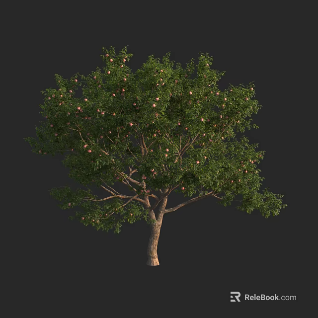 Tall Arbor with Lush Green Foliage and Ripe Fruits on Branches 3d model 