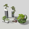 Indoor Living Plant Wall Design With Green Plants Stones And Decorative Ornaments