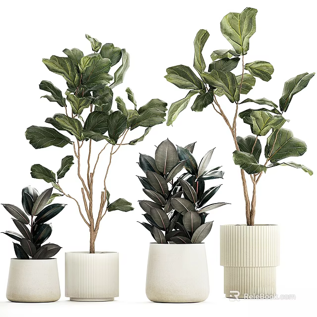 Lush Green Leafy Potted Plants In White Textured Ceramic Pots For Indoor Decor 3d model 