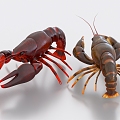 Crayfish Lobster Food Delicacy River Fresh 3d model