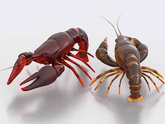 Crayfish Lobster Food Delicacy River Fresh 3d model