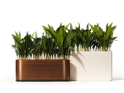 Bonsai Potted Plants With Green Lush Leaves In Different Colored Flower Pots 3d model