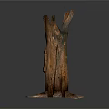 Artistic Wooden Sculpture With Tree Stump Shape Central Hollow Hole And Natural Carved Details