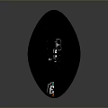 Black Rugby Ball With LEF Logo In Orange Green And White Design