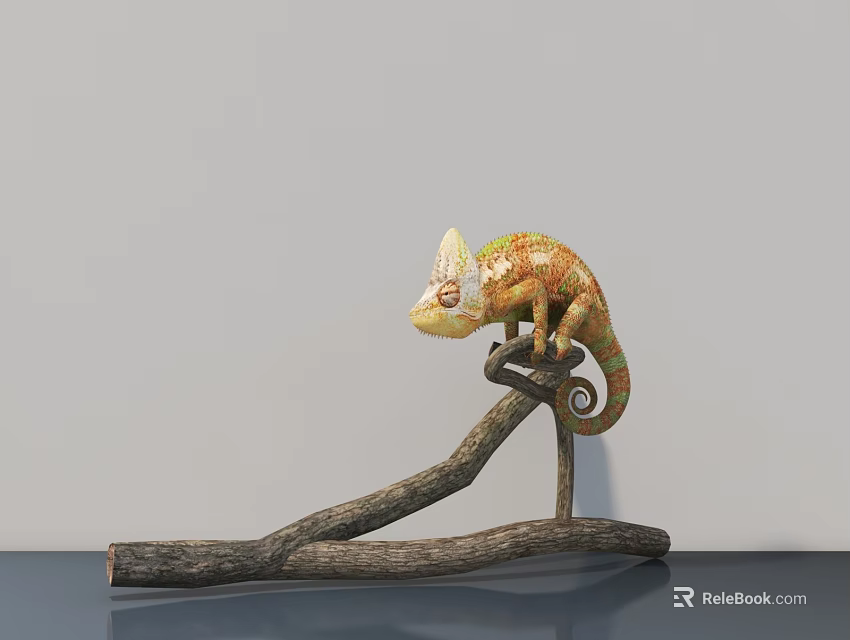 Colorful Chameleon Reptile Perched On Natural Branch Against Gray Background 3d model 