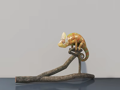Colorful Chameleon Reptile Perched On Natural Branch Against Gray Background 3d model