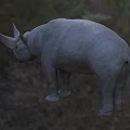 Horned Reptile With Gray Skin Standing In Natural Grassland Habitat