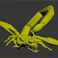 Brown Scorpion With Large Claws And Curved Tail On Dark Background