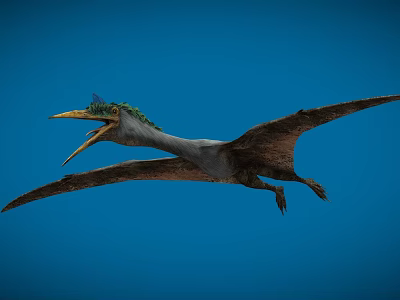 Prehistoric Flying Animal With Green Head Open Beak And Large Wings Flying In Blue Sky 3d model