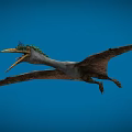 Prehistoric Flying Animal With Green Head Open Beak And Large Wings Flying In Blue Sky