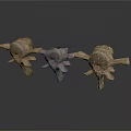 Three Detailed Bronze Anatomical Vertebrae Models Representing Human Organ Structure