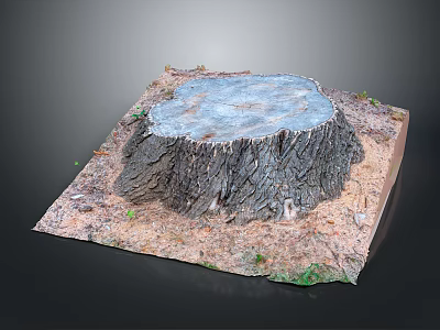Natural Wooden Tree Stump Cross Section on Square Stone Base with Soil and Grass 3d model