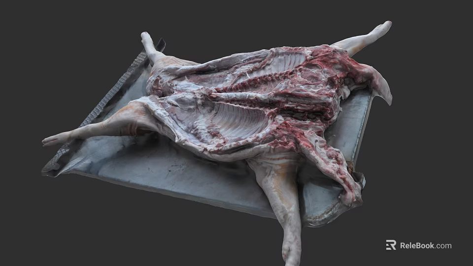 Whole Raw Mutton Meat With Fresh Ribs On Metal Tray 3d model 