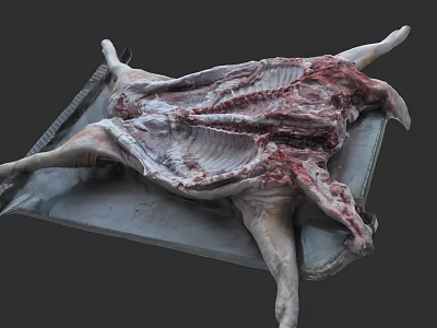Whole Raw Mutton Meat With Fresh Ribs On Metal Tray 3d model