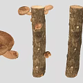 Natural Wooden Tree Trunks With Growing Brown Mushrooms And Fungal Details