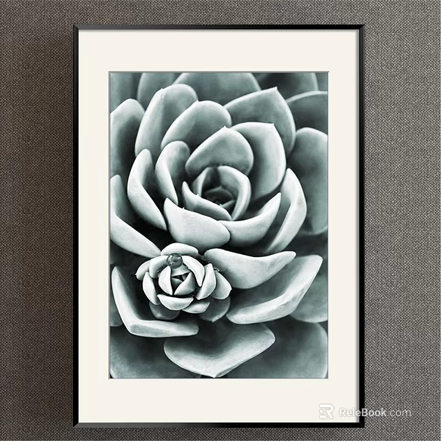 Black and White Succulent Botanical Painting With Framed Decorative Art 3d model 