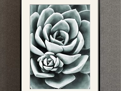 Black and White Succulent Botanical Painting With Framed Decorative Art 3d model