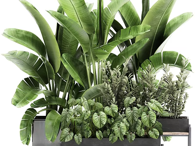 Lush Green Potted Plants Arrangement With Various Foliage Types In Modern Container 3d model