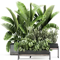 Lush Green Potted Plants Arrangement With Various Foliage Types In Modern Container