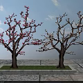 Two Trees With Red And White Flowers Against Blue Sky On Stone Ground With Grass