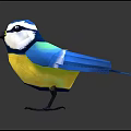 Colorful Flying Bird With Blue Yellow White Feathers Standing On Dark Background