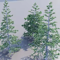 Three Arbor Trees With Green Foliage Gray Trunks And Shadows 3d model