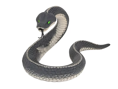 Detailed Black and Gray Snake with Green Eyes Flicking Tongue and Coiled Body 3d model