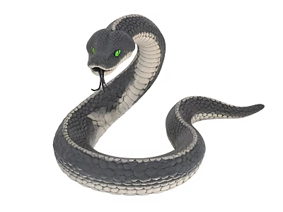 Detailed Black and Gray Snake with Green Eyes Flicking Tongue and Coiled Body 3d model