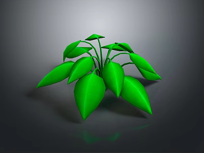Lush Green Leafy Plant With Vibrant Fresh Leaves And Glossy Foliage 3d model