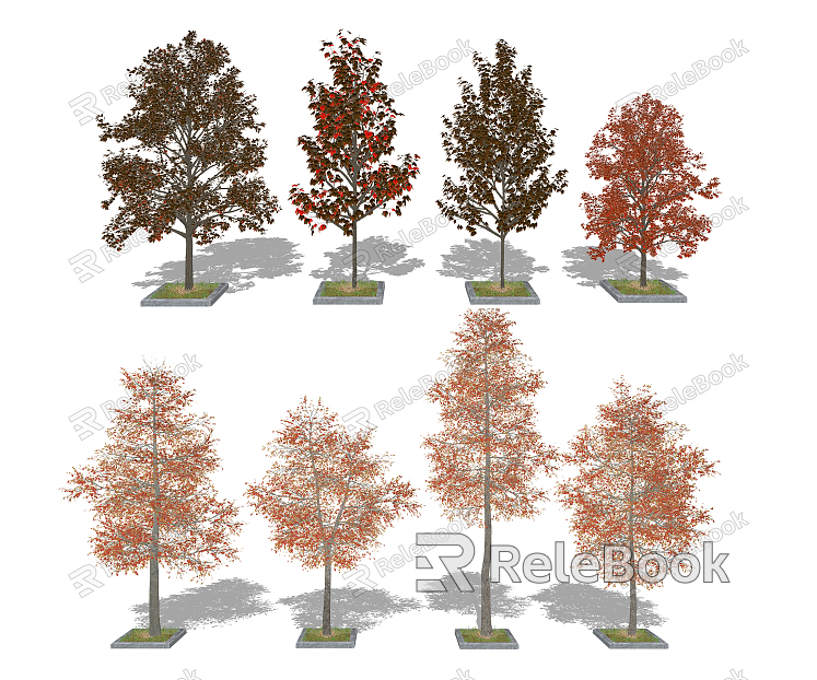 Modern Tree Landscape Trees Autumn Tree Red Maple model