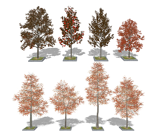 Modern Tree Landscape Trees Autumn Tree Red Maple 3d model