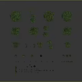Green Plant 3D Models with Various Sizes Shapes Trees and Shrubs