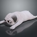 Cute White Pug Stuffed Toy Lying Down On Black Surface With Reflection 3d model