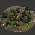 Circular Wooden Stone Ground With Green Grass Mossy Stones And Fallen Leaves