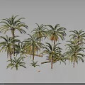 Multiple Palm Trees in Various Sizes with Green Fronds on Gray Background