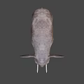 Elephant Game Movie Character with Large Ears Long Trunk and White Tusks