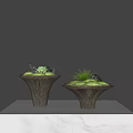 Decorative Ceramic Vessels With Green Moss And Small Stones On White Marble Surface