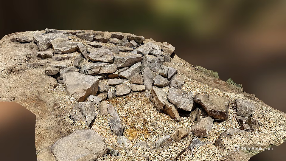 Natural Stones And Wood Pieces Scattered On Outdoor Surface With Earthy Texture 3d model 