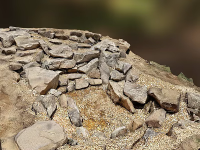 Natural Stones And Wood Pieces Scattered On Outdoor Surface With Earthy Texture 3d model