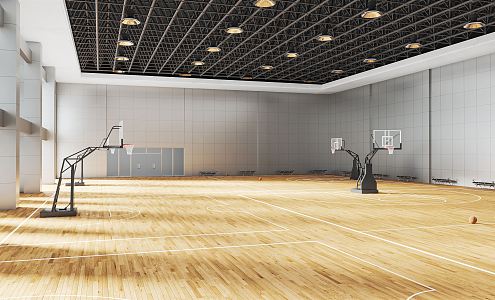 Modern Basketball Gymnasium Sports Stadium Basketball Rack Basketball Basketball Game Ground 3d model