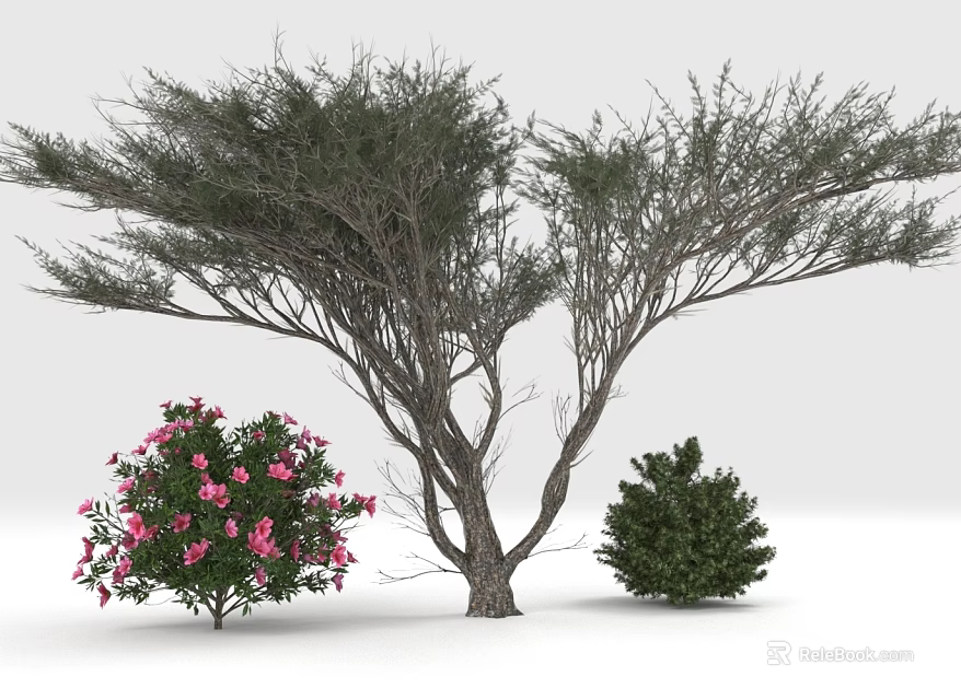 Tall Arbor With Spreading Branches Pink Flowering Bushes And Green Shrubs 3d model 