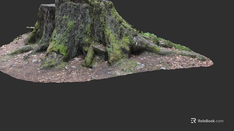 Moss Covered Tree Stump With Exposed Roots On Forest Floor And Fallen Leaves 3d model