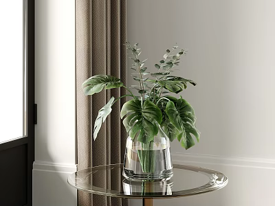 Transparent Glass Vase with Fresh Green Plants on Round Glass Table Near Window Curtain 3d model