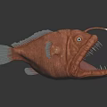 Red Anglerfish With Large Open Mouth Sharp Teeth And Glowing Lure On Dark Reflective Surface