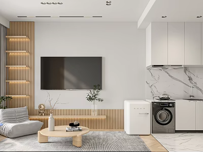 Modern Apartment Interior Design With Living Room Laundry Area Wooden Accents And Plants 3d model