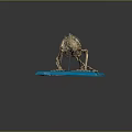 Small Mammal Skeleton Displayed on Blue Base with Dark Background and Detailed Structure 3d model