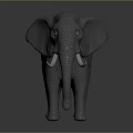 Gray Elephant 3D Model with Tusks Standing on Smooth Surface and Dark Background 3d model