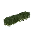Decorative Ornament Set With Neatly Trimmed Green Plant Bushes In Various Shapes