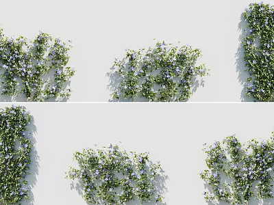 Lush Green Vines With Purple Small Flowers Decorating White Wall Surfaces In Various Arrangements 3d model